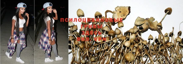 марки nbome Алексин