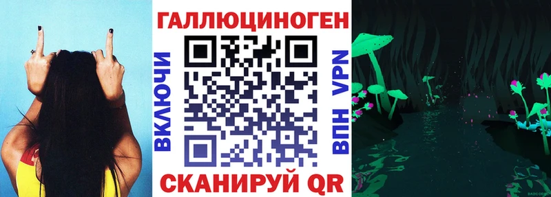 как найти закладки  Ужур  Псилоцибиновые грибы GOLDEN TEACHER 